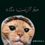SaSa_remix