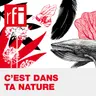 Les plantes «parlent», mais vous ne les entendez pas
