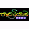පැලටියාව FM