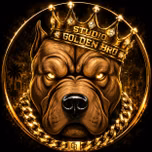STUDIO GOLDEN BRO