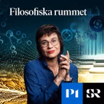 Filosofiska rummet