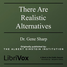 There Are Realistic Alternatives