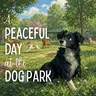 A Peaceful Day at the Dog Park
