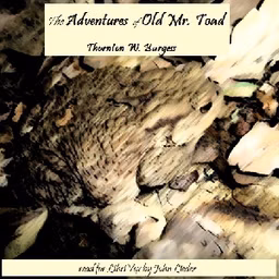 Adventures of Old Mr. Toad, The by Thornton W. Burgess (1874 - 1965)