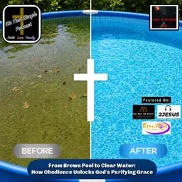 From Brown Pool to Clear Water: How Obedience Unlocks God's Purifying Grace