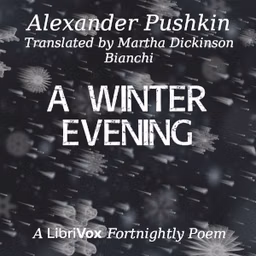 Winter Evening