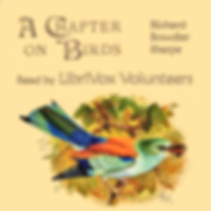 Chapter on Birds, A by Richard Bowdler Sharpe (1847 - 1909)