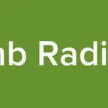 Anb Radios