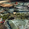 alfombra de cristales rotos