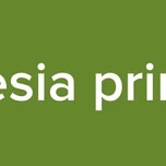 la iglesia primitiva