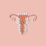 Is hormone therapy the cheat code to perimenopause?