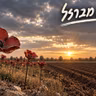 כלניות מברזל (הנובה)