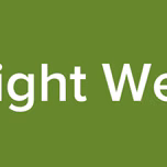Night Web