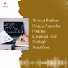 Avukat Burhan DoğUş Ayparlar Forexte KarşılaşıLan 6 ZorluğU AnlatıYor