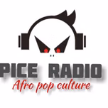 PICE RADIO