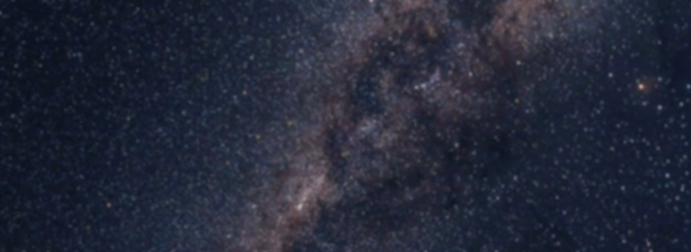 Argonauta