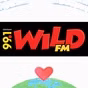 99.1 Wild FM - DXRT