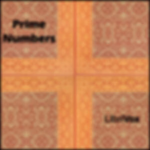Prime Numbers by Unknown