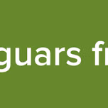 jaguars fm