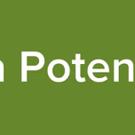 La Potente