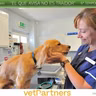 VetPartners