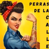 perrasdlc 11