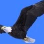 Eagle Country Radio