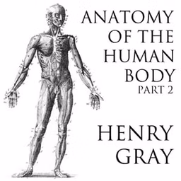 Anatomy of the Human Body, Part 2 (Gray's Anatomy) by Henry Gray (1827 - 1861)