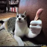 MasterMD