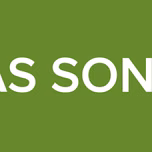 ONDAS SONORAS