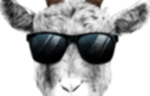 New Podcast