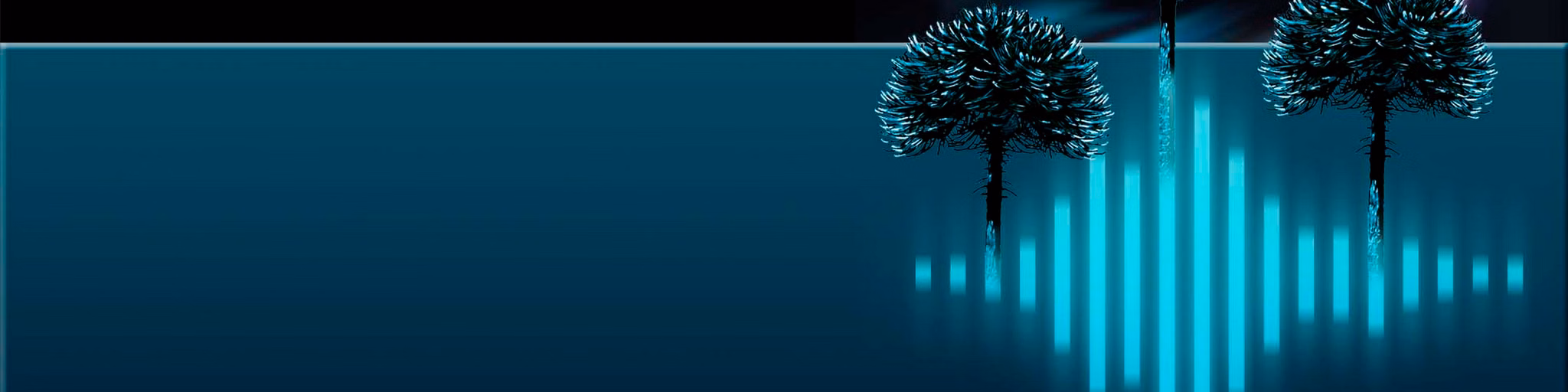 RADIO VOCES DE ARAUCARIA