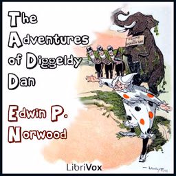 Adventures of Diggeldy Dan, The by Edwin P. Norwood (1881 - 1940)