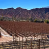 El padre soñó el vino, el hijo construyó la bodega y un enólogo supo interpretar la Quebrada de Humahuaca