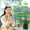 Tập 38: Tại Sao Sương Mù Não Biến Mất Khi Mãn Kinh Kết Thúc? (+ 5 Thói Quen Thích Ứng) | Sống 100 Tuổi