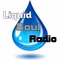 Liquid Soul Radio