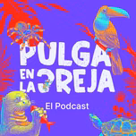 Pulga en la Oreja