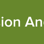 Vision Anglo