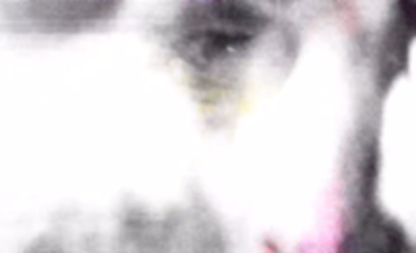 - Ach0z3n - Mr Mischief -  Anxi0us Ape -