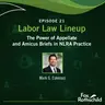 Labor Law Lineup Ep21 - The Power of Appellate and Amicus Briefs in NLRA Practice