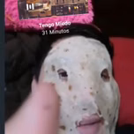 Rinodaniel
