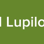 Radio Cuibul Lupilor Albi Oficial