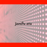Jamilu ata radio