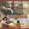 Salted Gaming - Flipping and Turning, No. 5