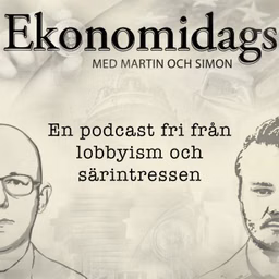 Ekonomidags