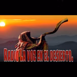 La voz en el desierto