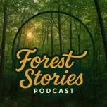 Arroe Collins Forest Stories