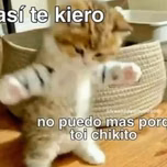 Luis motax