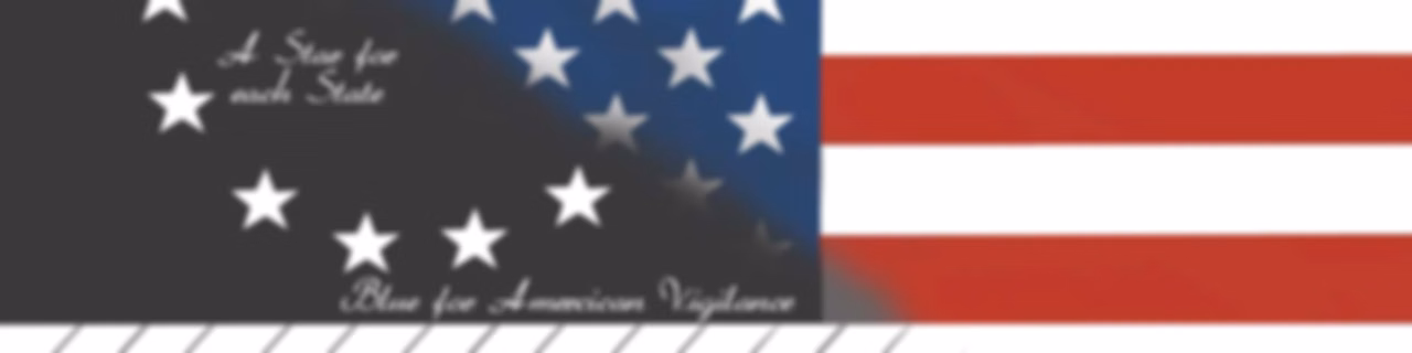 American Political History