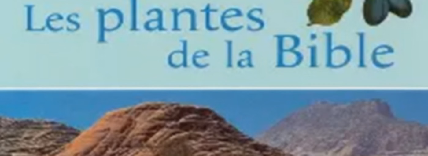 FLEURS, PLANTES ET ARBRES DANS LA BIBLE